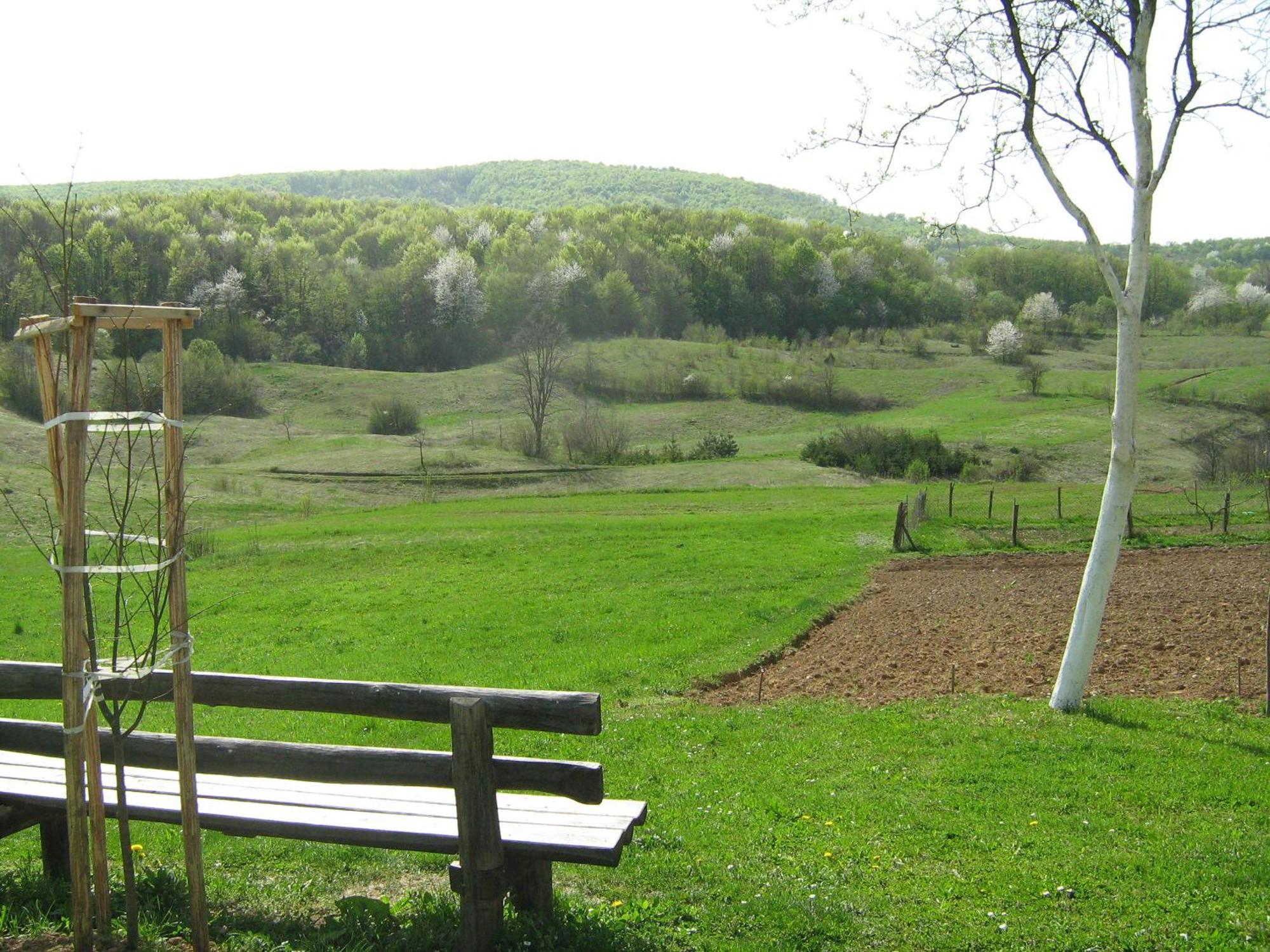 Villa Iva Rakovica Zewnętrze zdjęcie